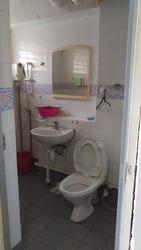 Blk 495E Tampines Street 43 (Tampines), HDB Executive #101036632